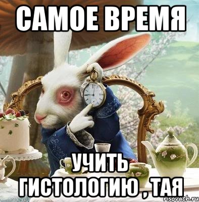 самое время учить гистологию , Тая