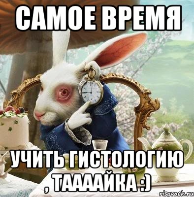 самое время учить гистологию , Таааайка :)