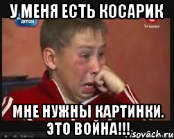 У меня есть косарик Мне нужны картинки. Это ВОЙНА!!!, Мем  Сашок Фокин