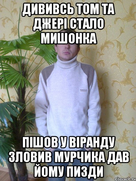 дививсь том та джері стало мишонка пішов у віранду зловив мурчика дав йому пизди