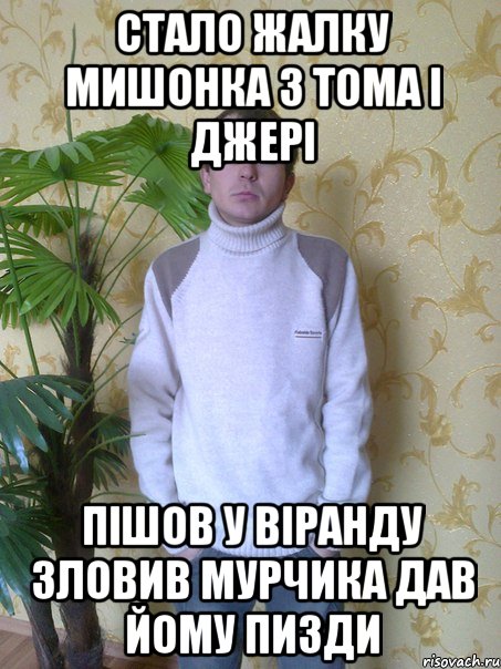 стало жалку мишонка з тома і джері пішов у віранду зловив мурчика дав йому пизди