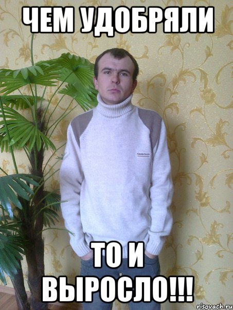 Чем удобряли то и выросло!!!