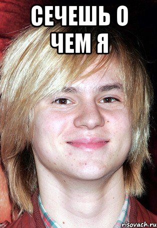 сечешь о чем я 