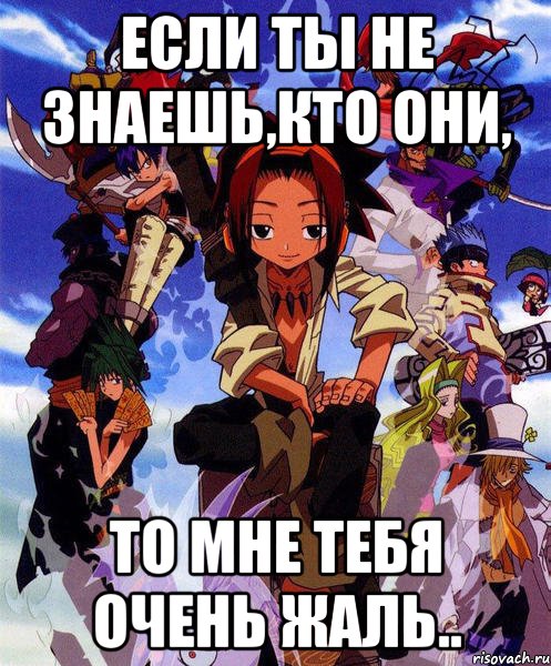 Если ты не знаешь,кто они, то мне тебя очень жаль.., Мем Shaman king