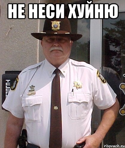 не неси хуйню 