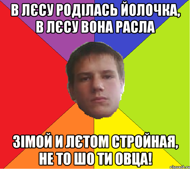 В лєсу роділась йолочка, в лєсу вона расла зімой и лєтом стройная, не то шо ти овца!