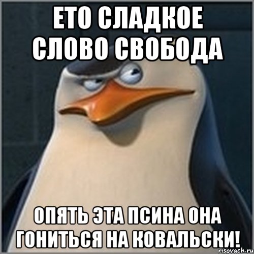 Ето сладкое слово свобода Опять эта псина она гониться на Ковальски!