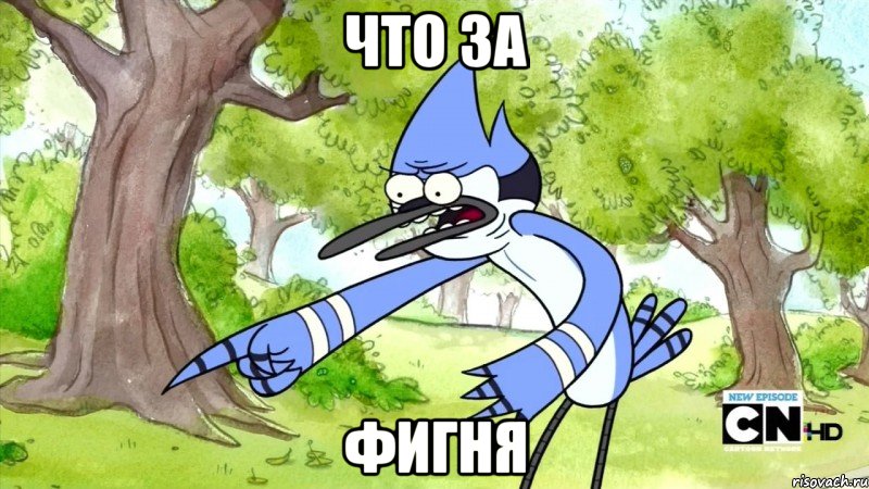 что за фигня, Мем шоу