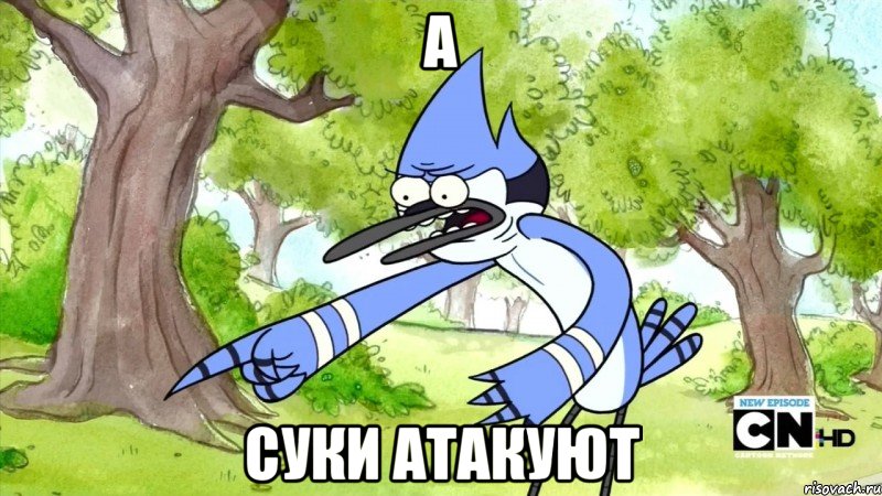 а суки атакуют, Мем шоу