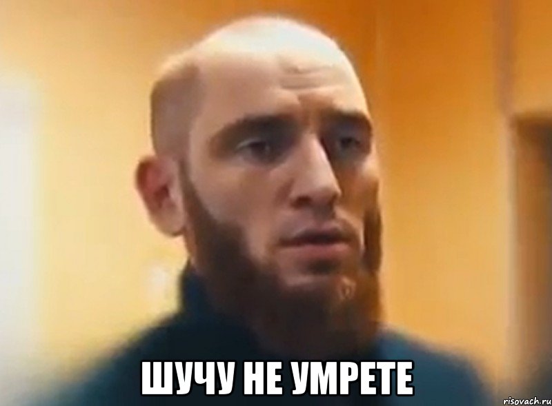  шучу не умрете, Мем Шучу