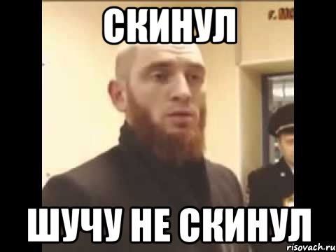 Скинул Шучу не скинул, Мем Шучу