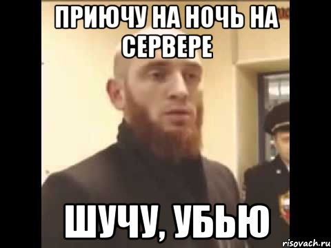 ПРИЮЧУ НА НОЧЬ НА СЕРВЕРЕ ШУЧУ, УБЬЮ, Мем Шучу