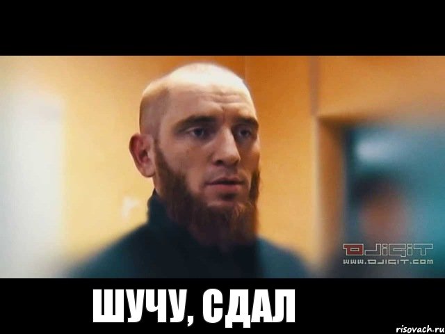  Шучу, сдал, Мем Шучу