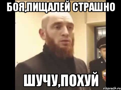 Боя,пищалей страшно Шучу,похуй, Мем Шучу