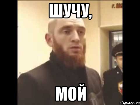 Шучу, мой, Мем Шучу