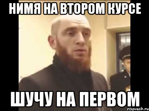 Нимя на втором курсе шучу на первом, Мем Шучу