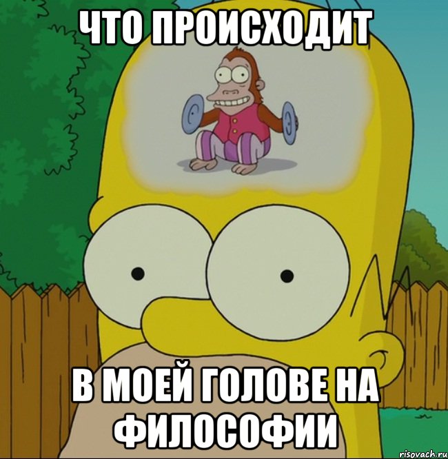 ЧТО ПРОИСХОДИТ В МОЕЙ ГОЛОВЕ НА ФИЛОСОФИИ, Мем  Гомер Симпсон