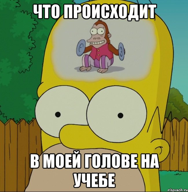 Что происходит В моей голове на учебе, Мем  Гомер Симпсон