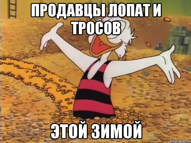 продавцы лопат и тросов этой зимой