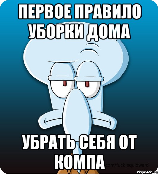 Первое правило уборки дома убрать себя от компа