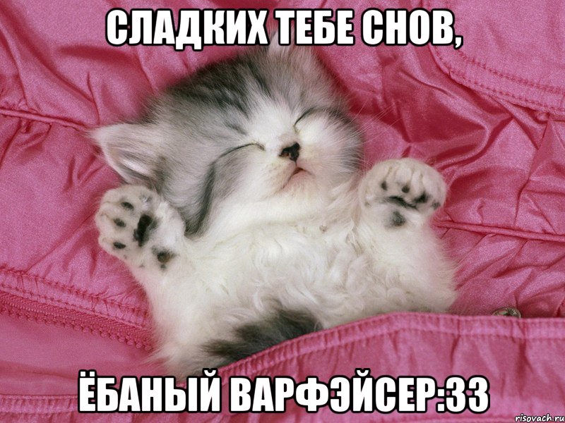 Сладких тебе снов, Ёбаный варфэйсер:33