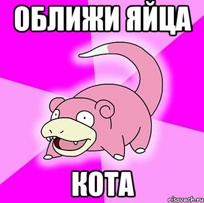 оближи яйца кота, Мем слоупок