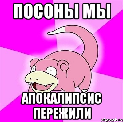 посоны мы апокалипсис пережили, Мем слоупок