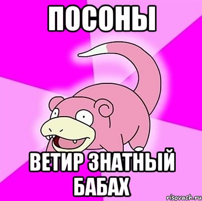 ПОСОНЫ ВЕТИР ЗНАТНЫЙ БАБАХ, Мем слоупок