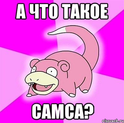 А ЧТО ТАКОЕ САМСА?, Мем слоупок