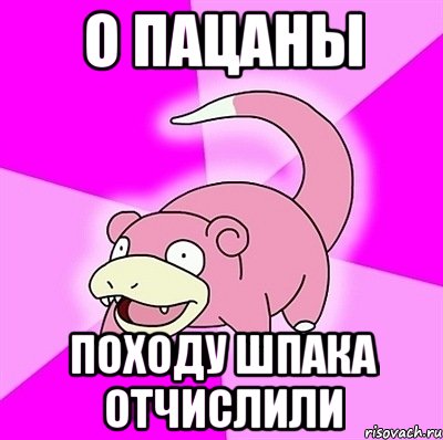 о пацаны походу шпака отчислили, Мем слоупок
