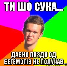 ти шо сука... давно пизди од бегемотів не получав