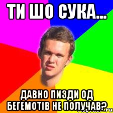 ти шо сука... давно пизди од бегемотів не получав?