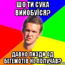 шо ти сука вийобуїся? давно пизди од бегемотів не получав?