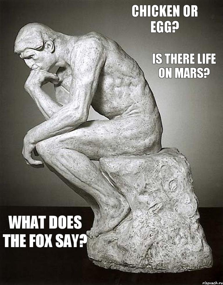 Chicken or egg? Is there life on Mars? What does the fox say?, Комикс Смысл жизни