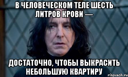 В человеческом теле шесть литров крови — достаточно, чтобы выкрасить небольшую квартиру
