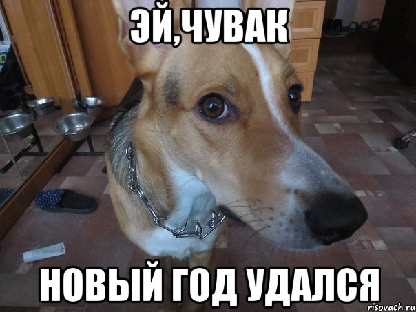 эй,чувак новый год удался