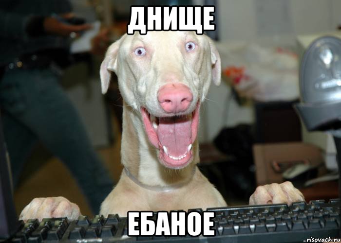 ДНИЩЕ ЕБАНОЕ