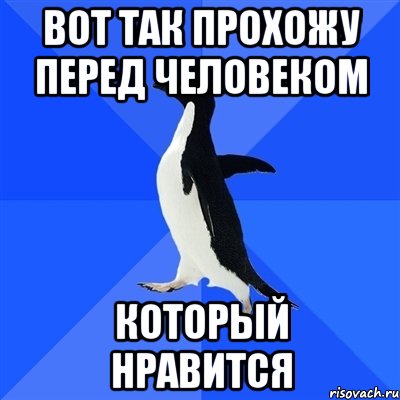 Вот так прохожу перед человеком который нравится, Мем  Социально-неуклюжий пингвин