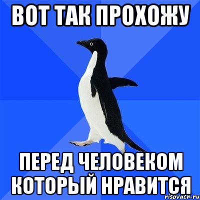 Вот так прохожу перед человеком который нравится, Мем  Социально-неуклюжий пингвин