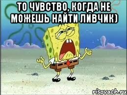 То чувство, когда не можешь найти ливчик) , Мем Спанч Боб плачет