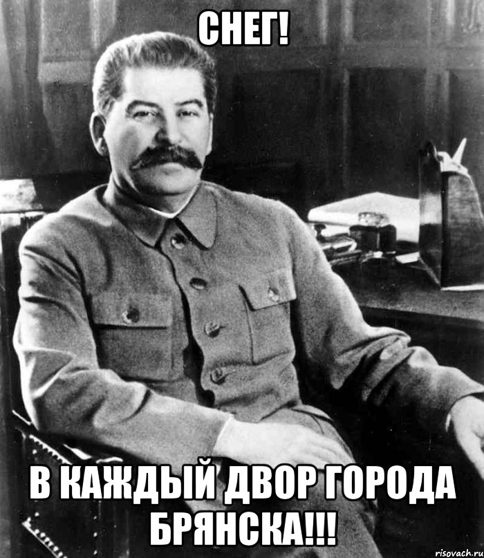 СНЕГ! в каждый двор города Брянска!!!, Мем  иосиф сталин