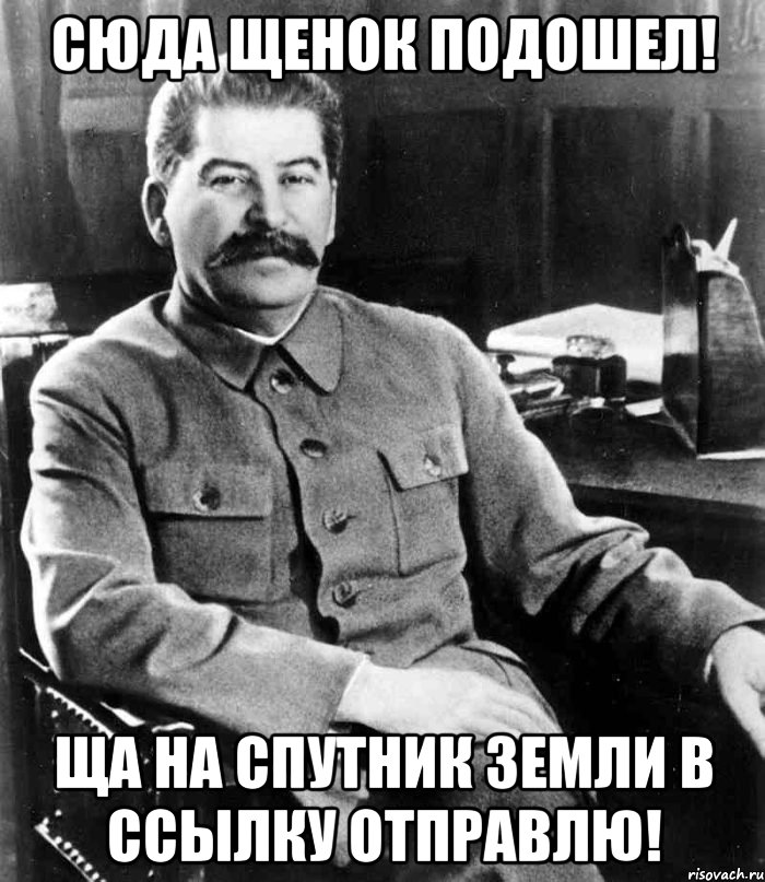 Сюда щенок подошел! Ща на спутник Земли в ссылку отправлю!, Мем  иосиф сталин