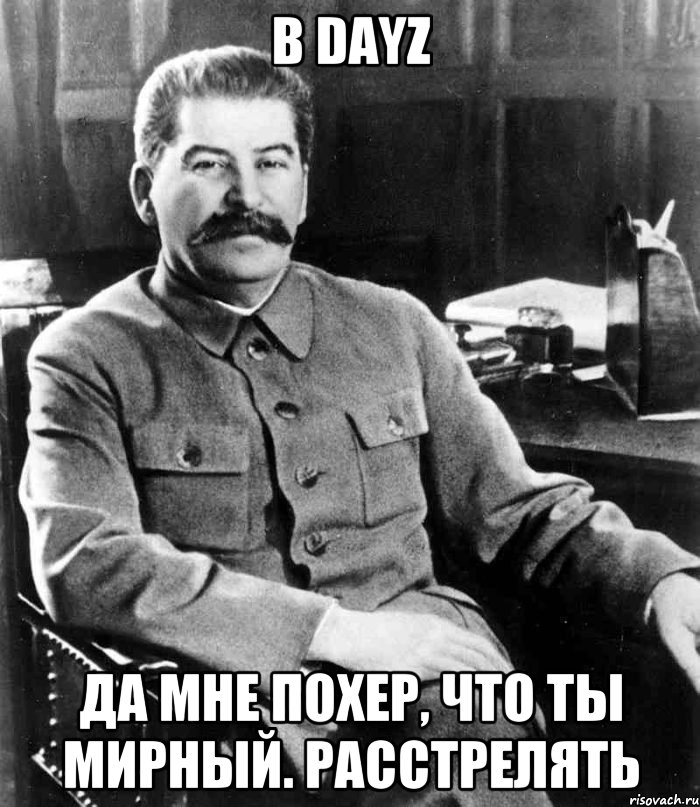 В DAYZ ДА МНЕ ПОХЕР, ЧТО ТЫ МИРНЫЙ. РАССТРЕЛЯТЬ, Мем  иосиф сталин