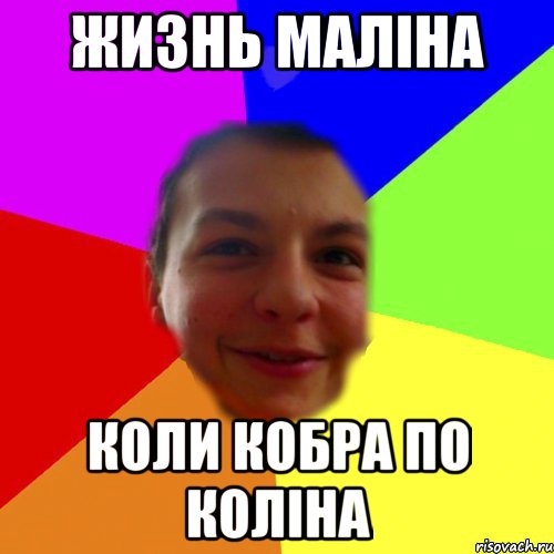 жизнь маліна коли кобра по коліна