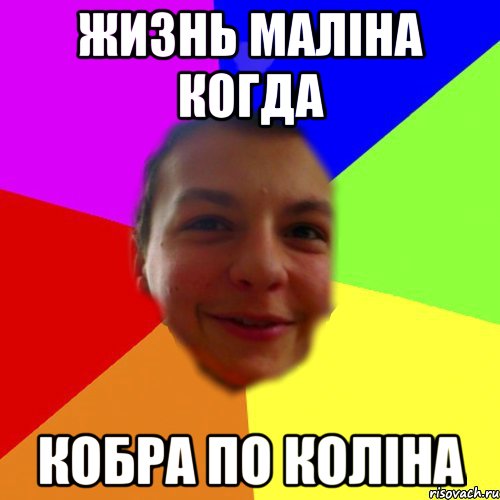 жизнь маліна когда кобра по коліна