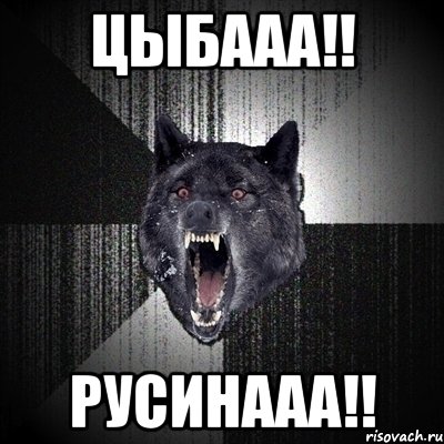 Цыбааа!! Русинааа!!, Мем Сумасшедший волк