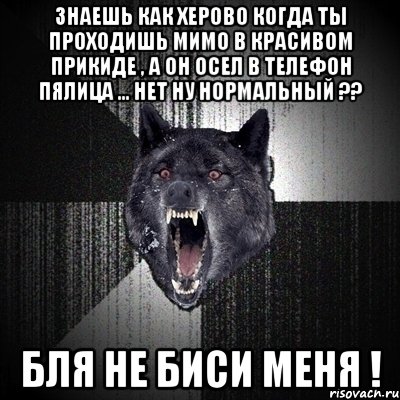 Знаешь как херово когда ты проходишь мимо в красивом прикиде , а он осел в телефон пялица ... Нет ну нормальный ?? Бля не биси меня !, Мем Сумасшедший волк