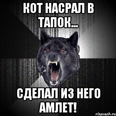 Кот насрал в тапок... Сделал из него АМЛЕТ!, Мем Сумасшедший волк