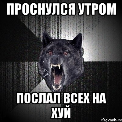 ПРОСНУЛСЯ УТРОМ ПОСЛАЛ ВСЕХ НА ХУЙ, Мем Сумасшедший волк