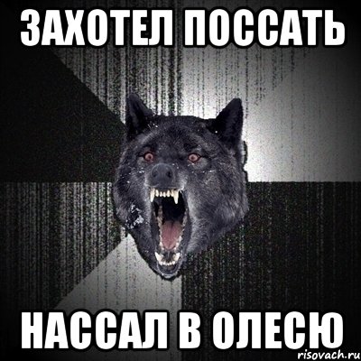 захотел поссать нассал в олесю, Мем Сумасшедший волк